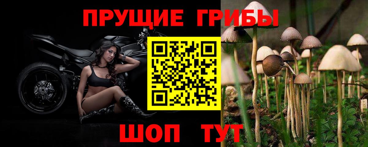 Галлюциногенные грибы Magic Shrooms Сухой Лог